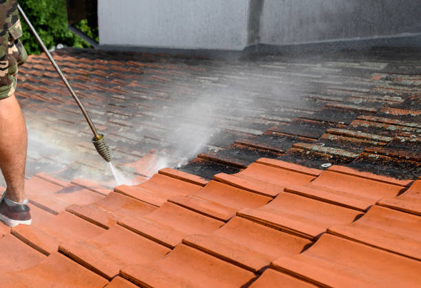 Best Pressure Washing Company Near Me  in Blue Springs, MO
